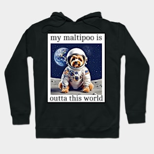 Outta This World Maltipoo Hoodie